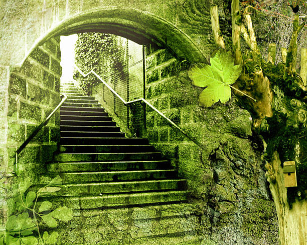Stairs leading through an open gate to a magic place.