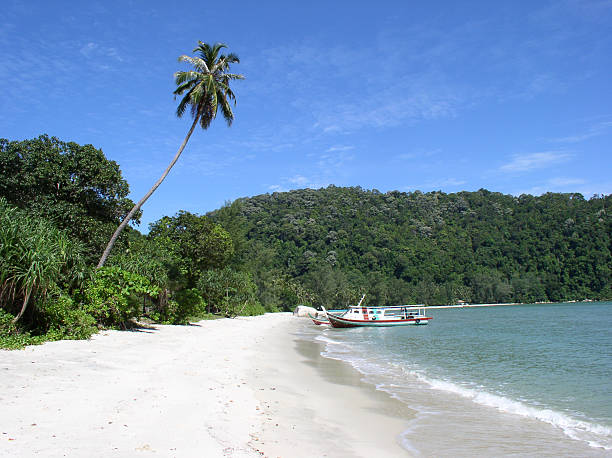 istock Teluk Duyung Beach in Penang Malaysia. 172646281