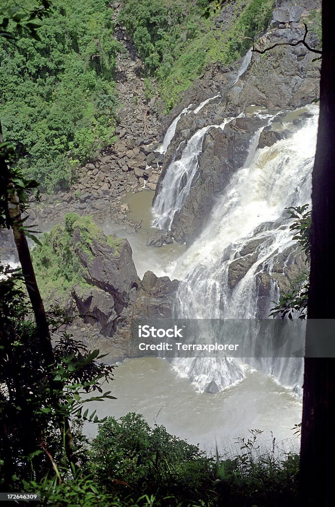 Cachoeira Em Kuranda - Foto de stock de Austrália royalty-free