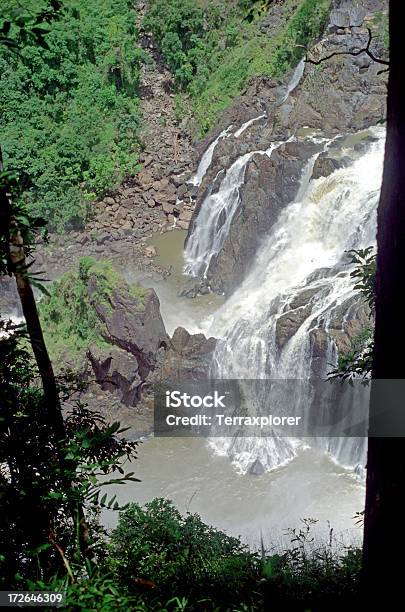 Foto de Cachoeira Em Kuranda e mais fotos de stock de Austrália - Austrália, Beleza natural - Natureza, Cascata