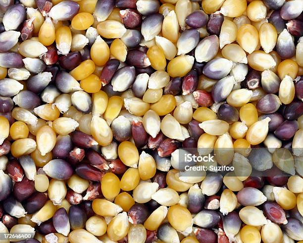 Mixed Popcorn Stock Photo - Download Image Now - Indian Corn, Backgrounds, Corn