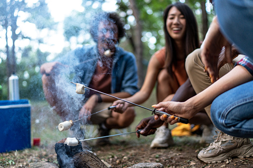 Young multi-ethnic friends roasting marshmallows on sticks in forest