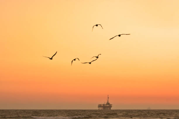 Two offshore platforms drilling for oil off the coast of Los Angeles, California with the silhouettes of several oil tankers in the background fog.
