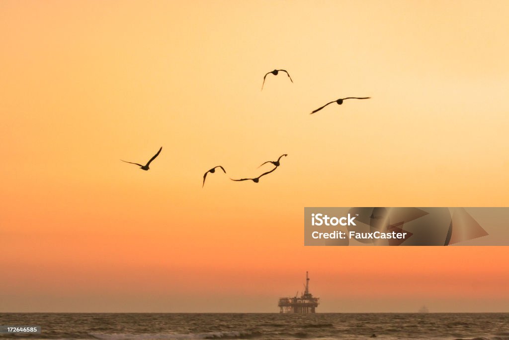 Gaivotas e óleo Derricks - Foto de stock de Plataforma Marítima royalty-free