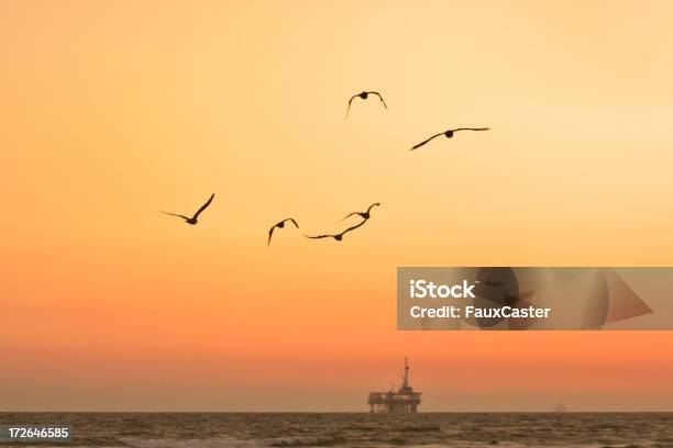 Foto de Gaivotas E Óleo Derricks e mais fotos de stock de Plataforma Marítima - Plataforma Marítima, Pássaro, Óleo