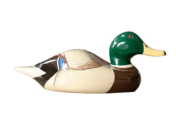 Decoy Mallard Duck Hand painted mallard duck decoy. hunting decoy photos stock pictures, royalty-free photos & images