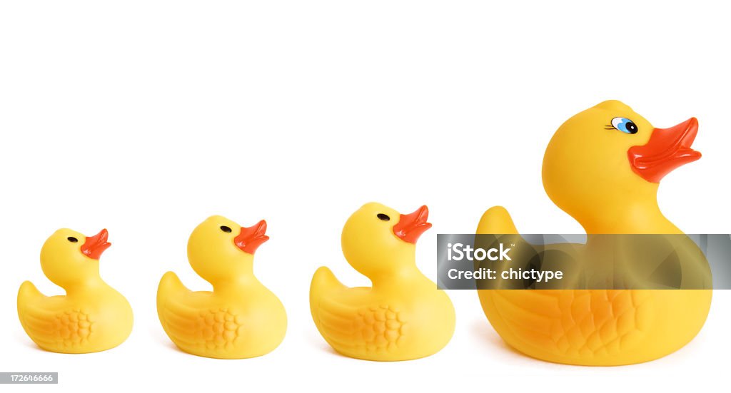 Paperella di gomma famiglia - Foto stock royalty-free di Anatra - Uccello acquatico
