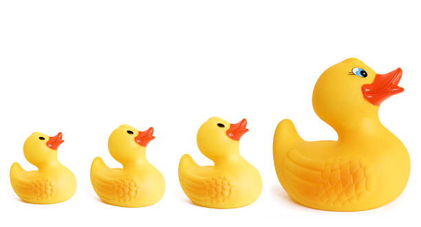 istock Rubber Duck Family 172646666