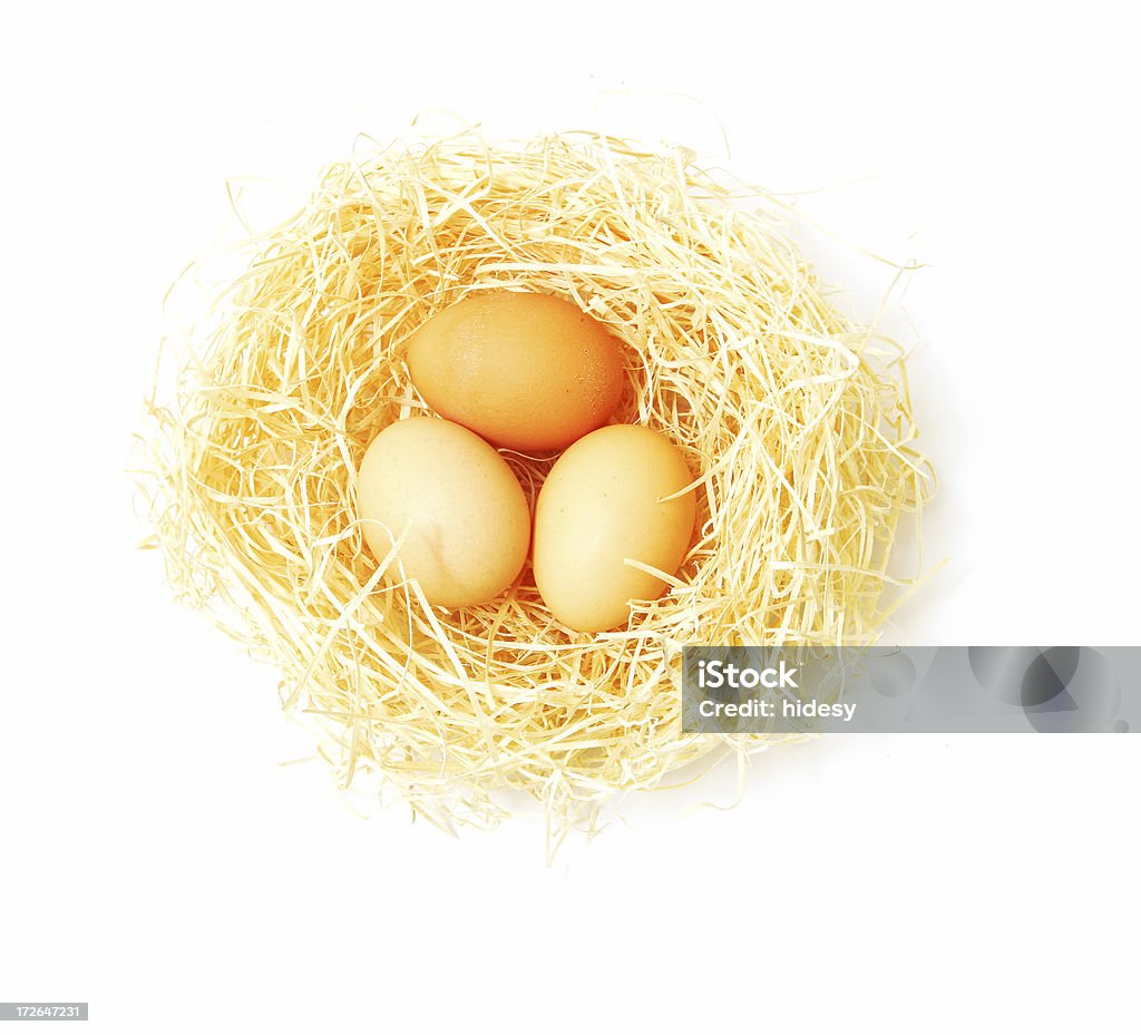 Яйцо гнезда - Стоковые фото Nest egg - английское выражение роялти-фри