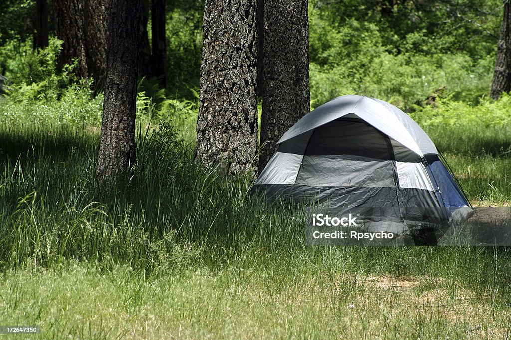 Acampamento na floresta - Royalty-free Acampar Foto de stock