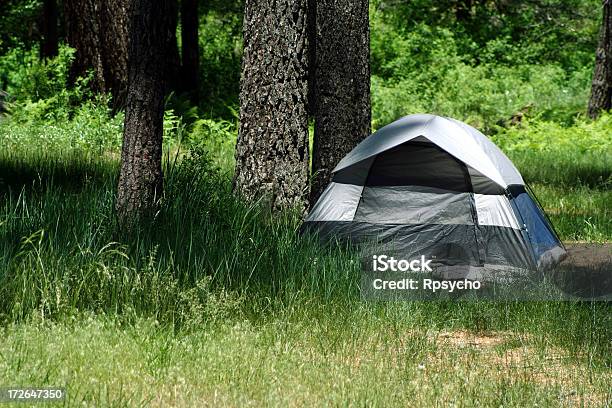 Acampamento Na Floresta - Fotografias de stock e mais imagens de Acampar - Acampar, Ao Ar Livre, Com sombra
