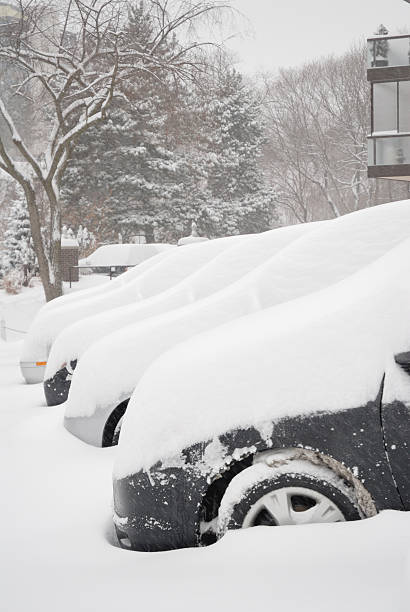 istock Cars snowed in 172647371