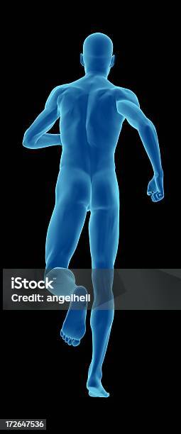 Human Body Of A Man Running Stock Photo - Download Image Now - Activity, Adult, Agility