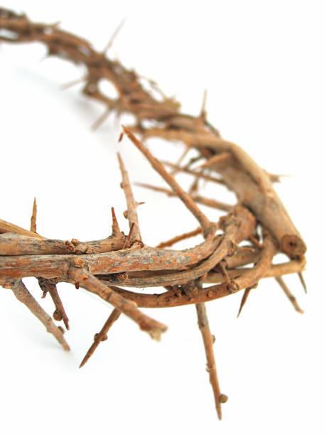 istock Crown of Thorns 172647684