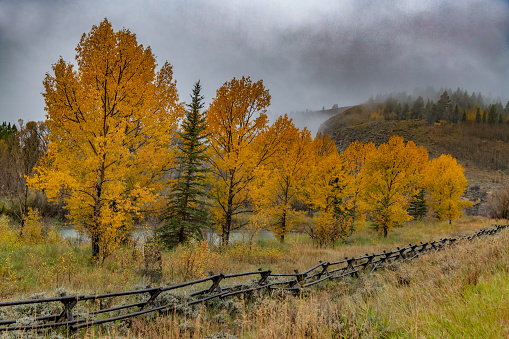 Close up of a old wooden corral in the foreground with a gravel road leading to rugged, snow capped mountains in the background.