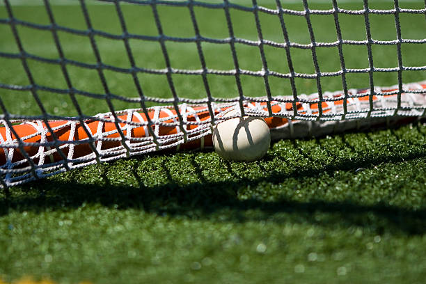 istock Lacrosse ball in goal net 172647840