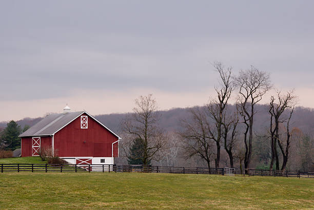 istock Winter Morning In The Country 172648271
