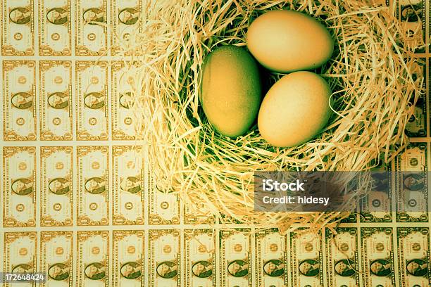Nest Eggmodo Di Dire Inglese - Fotografie stock e altre immagini di Affari - Affari, Animale, Becco
