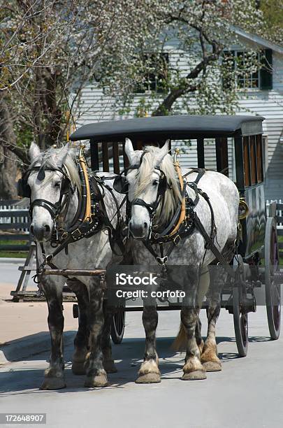 Real Horsepower Stock Photo - Download Image Now - Henry Ford Museum and Greenfield Village, Dearborn - Michigan, Carriage