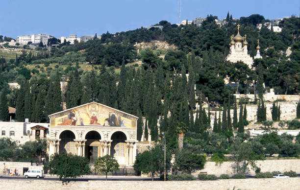 mont des oliviers, jérusalem,, israël - garden of gethsemane photos et images de collection