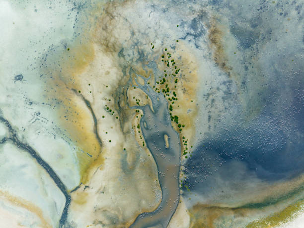 istock Natural shapes and textures on lake 1726501157