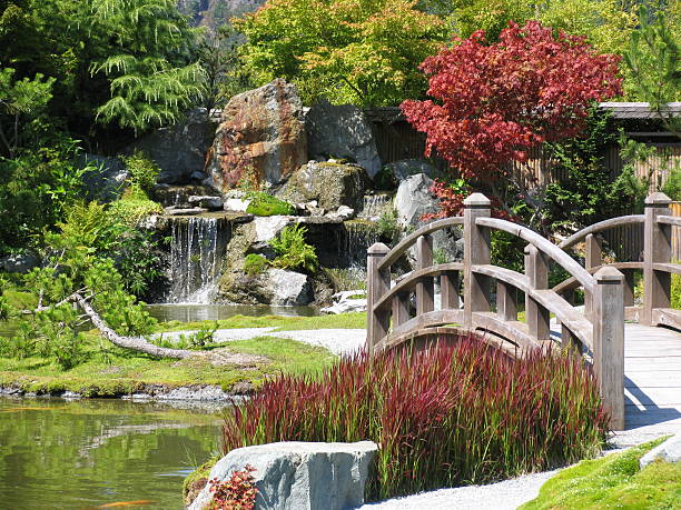 Japanese garden with wooden bridge and waterfall An inviting bridge leads to a beautiful waterfall. bamboo bridge stock pictures, royalty-free photos & images