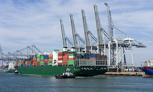 istock Container harbor of Rotterdam 172650212