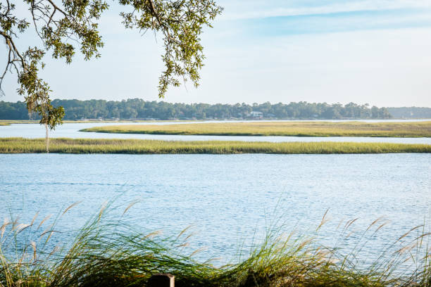 Tranquil Beauty: The Majestic May River Unveils Nature’s Tapestry, Bluffton, SC