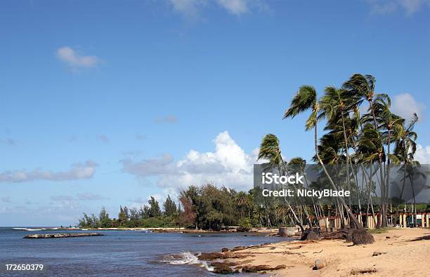 Beach Stock Photo - Download Image Now - Beach, Hawaii Islands, Horizontal