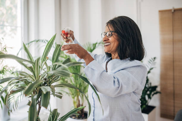 istock Woman watering plants at home 1726507254