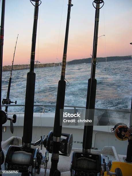 Cañas De Pescar En Una Embarcación De Salir Al Mar Foto de stock y más banco de imágenes de Agua - Agua, Anzuelo de pesca, Australia