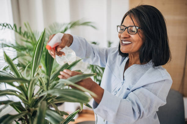 istock Woman nurturing plants at home 1726508374