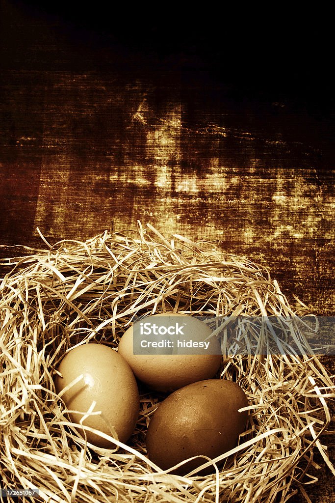 Ei - Lizenzfrei Putting All Your Eggs In One Basket - englische Redewendung Stock-Foto