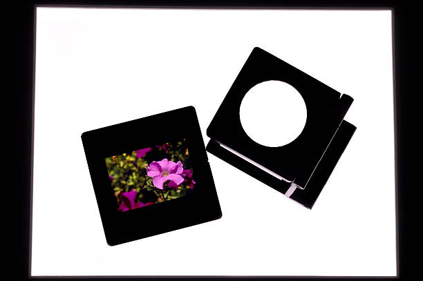 slide y lupa - lightbox slide frame black fotografías e imágenes de stock