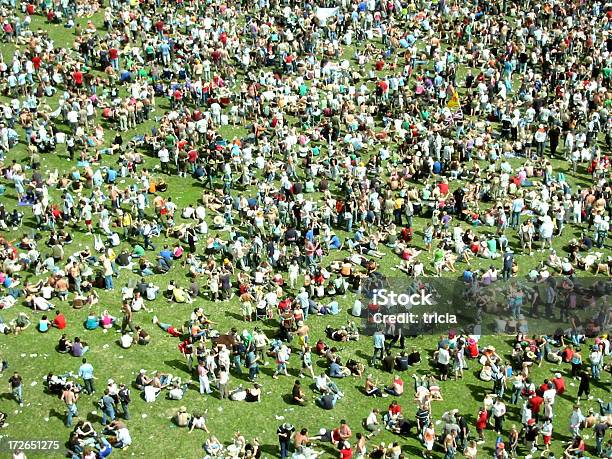 Big Festival Crowd On Grass Stock Photo - Download Image Now - Crowd of People, Aerial View, Music Festival