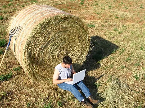 A man sits in a field against a large round bale of hay with a laptop.Other images in this series can be seen below: