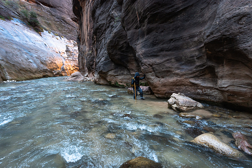 Hikers trek through the Narrows of Zion National Park