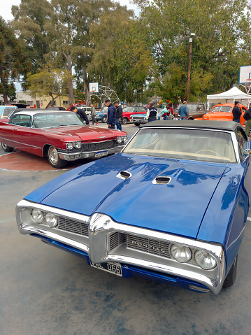 Lanús, Argentina - Sept 24, 2023: Old 1960s American classic cars. Blue sport muscle 1969 Pontiac GTO convertible and red luxury 1960 Cadillac coupe DeVille in a park.