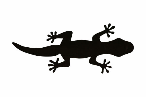 silhouette of a black lizard