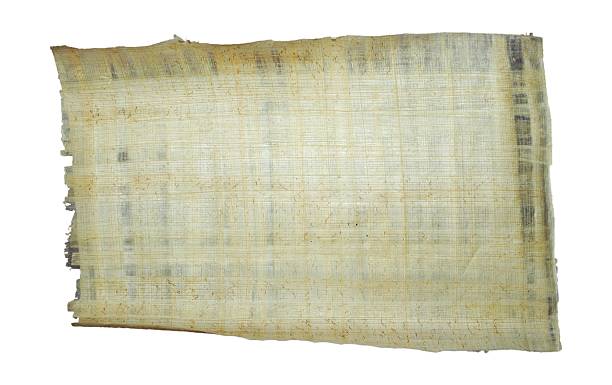 papier antique - vellum paper parchment document photos et images de collection