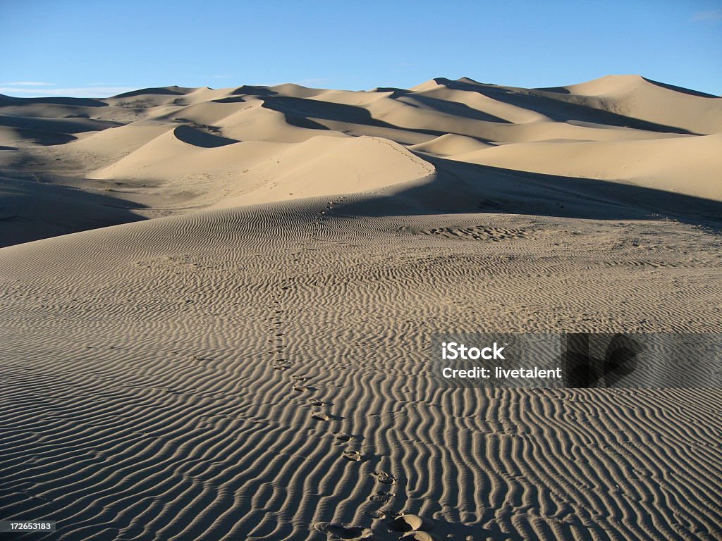 footprints menant les dunes de sable dans le désert de gobi, Mongolie - Photo de En rang libre de droits