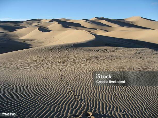 Photo libre de droit de Footprints Menant Les Dunes De Sable Dans Le Désert De Gobi Mongolie banque d'images et plus d'images libres de droit de En rang