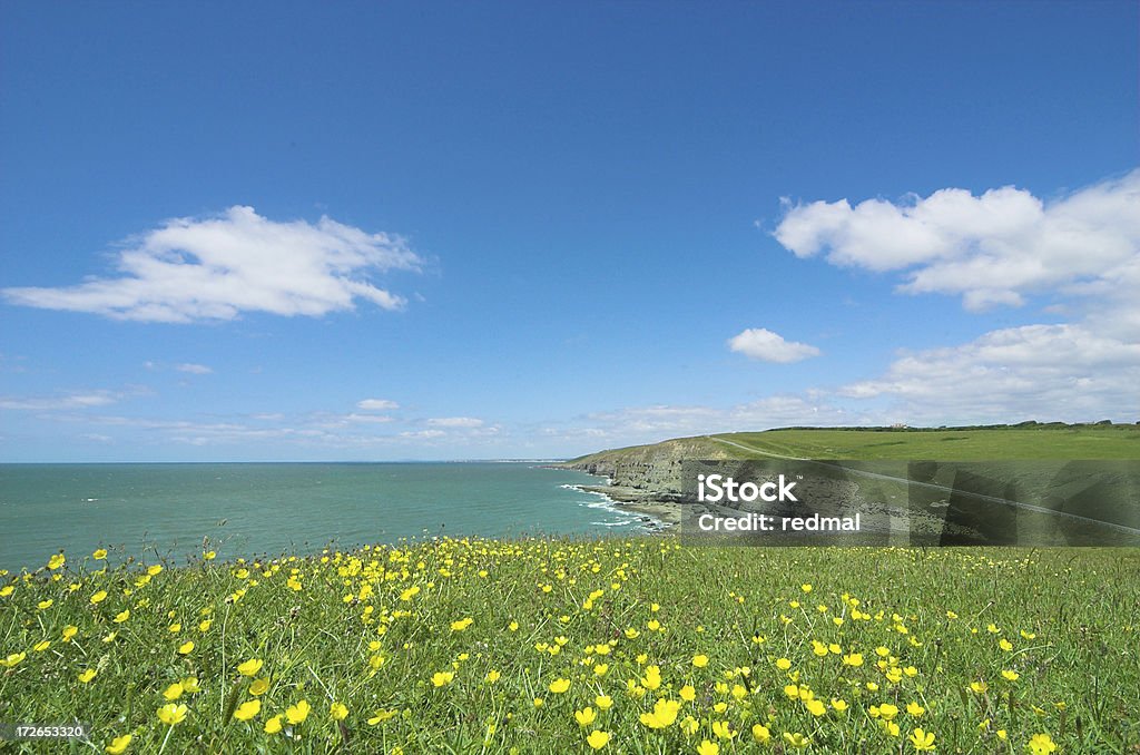 Été scène de la côte - Photo de Blanc libre de droits