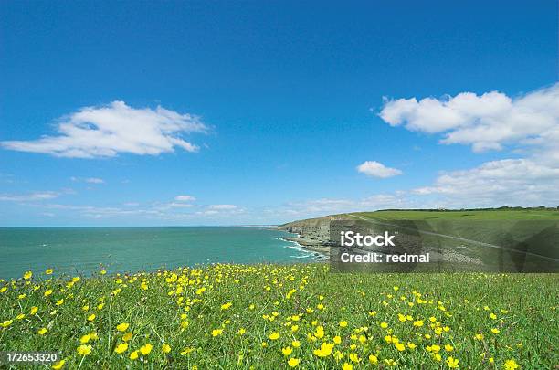 Coastal Scena Estate - Fotografie stock e altre immagini di Abbigliamento - Abbigliamento, Acqua, Ambientazione tranquilla