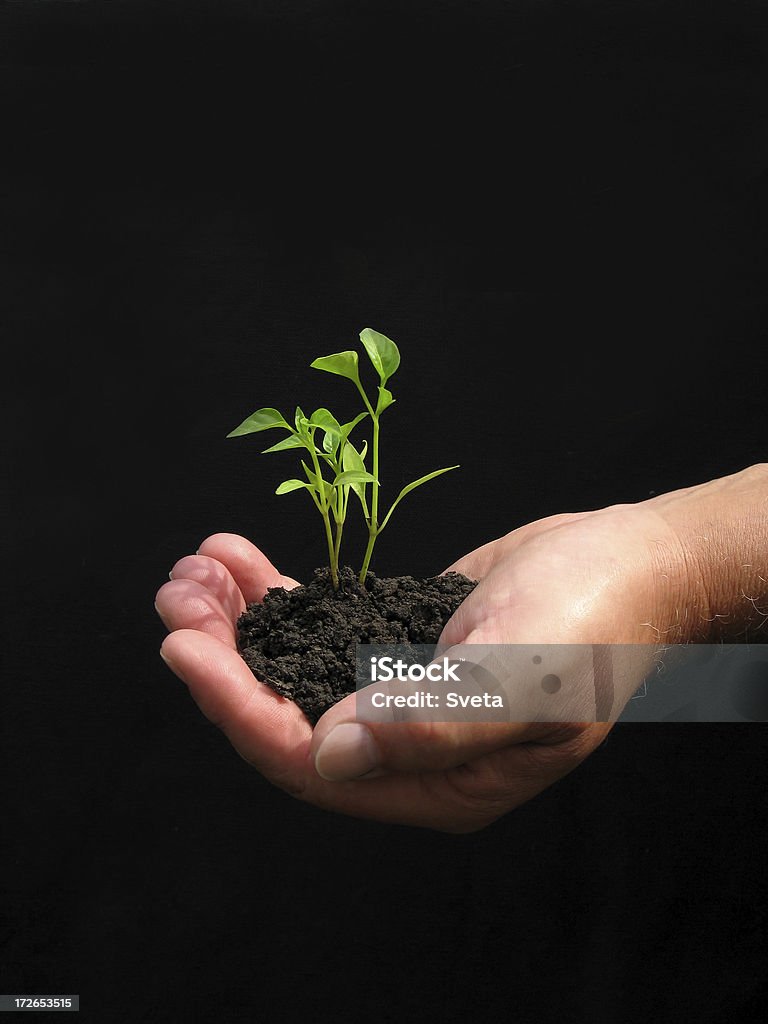 Educación - Foto de stock de Orígenes libre de derechos