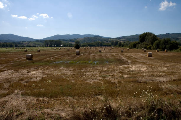 Tuscany Country stock photo