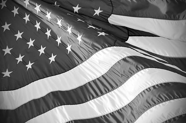 istock Flag of the US in B&W 172653875