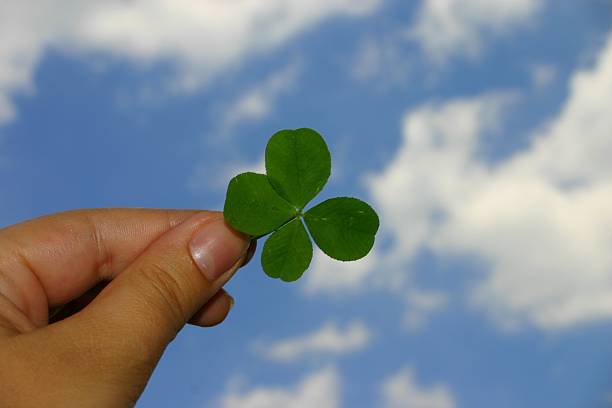 Hand with 4 leaf clover