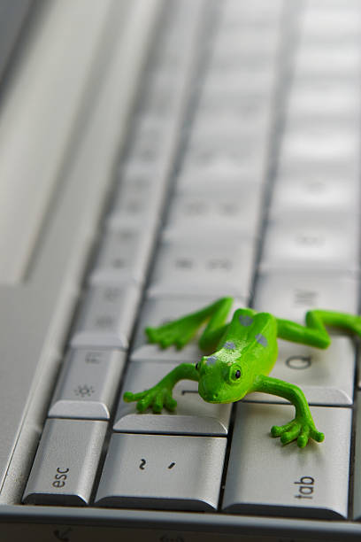 froggy escape - frog computer computer monitor symbol imagens e fotografias de stock