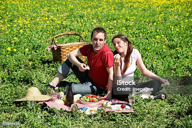 Depois De Ter Um Piquenique - Fotografias de stock e mais imagens de Adulto - Adulto, Amor, Ao Ar Livre